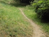 Entretien des berges de l'Estey de Franck - Bègles