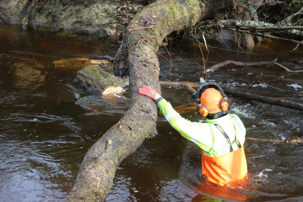 Salarié d'ARCINS Environnement Service en intervention dans un cours d'eau.