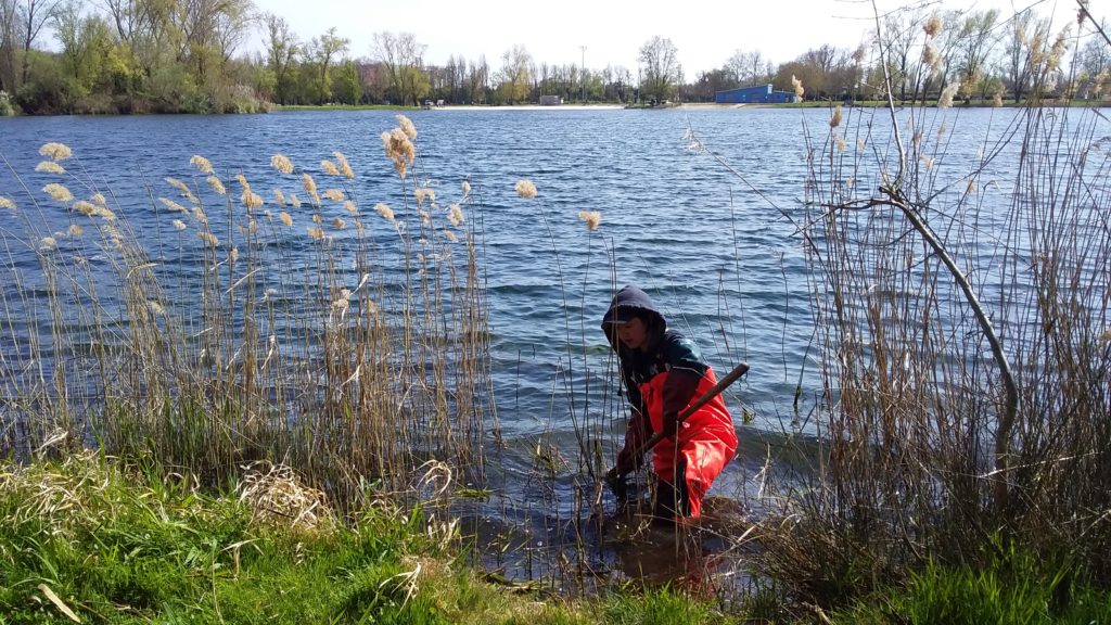 Une femme en train de draguer le fond du lac avec un râteau.