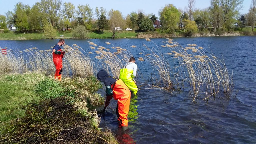 Trois personnes en train de draguer le fond du lac avec des râteaux.