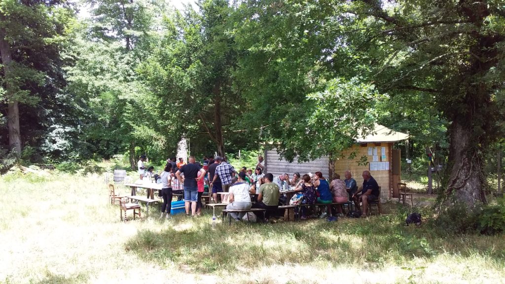 Pique-nique sous les arbres.