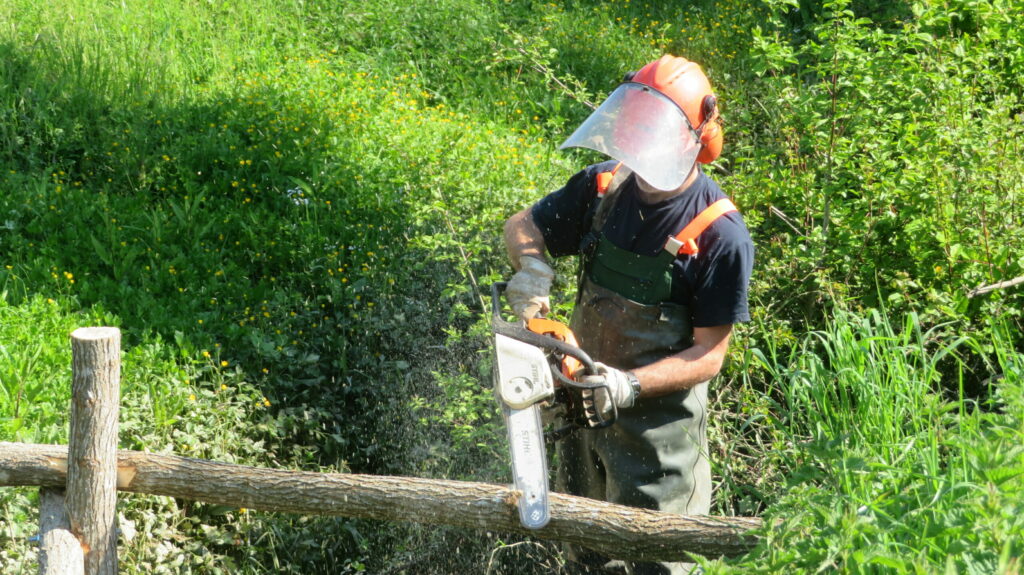 Travail à la tronçonneuse - Arcins Environnement service