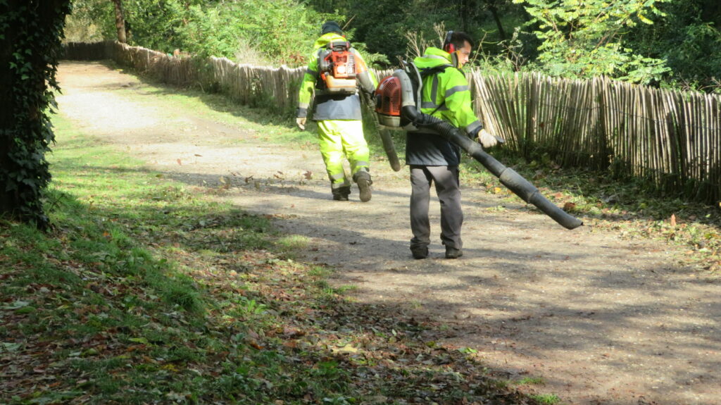 Soufflage des feuilles - Arcins Environnement service