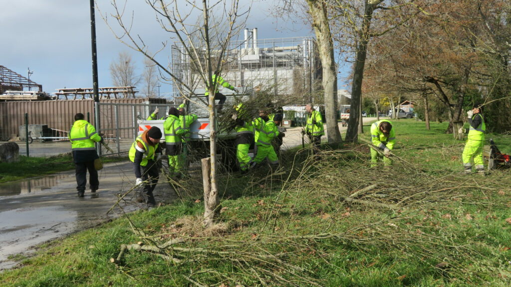 Tailles des arbres - Arcins Environnement service