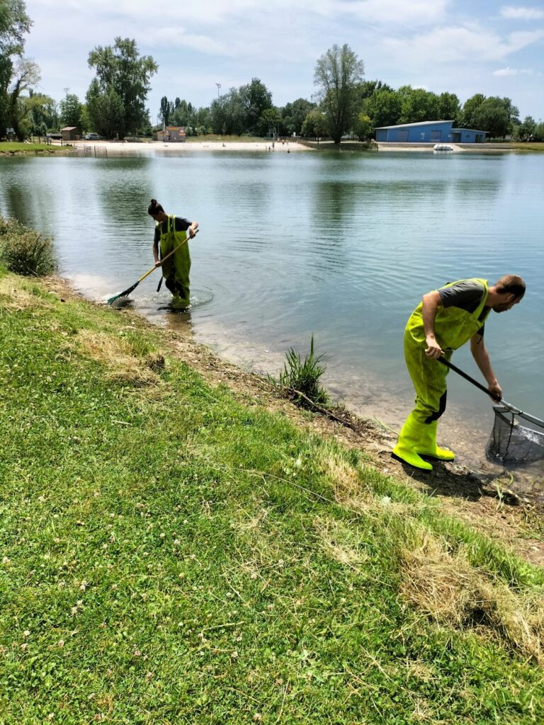 Enlèvement des algues au lac de Bègles