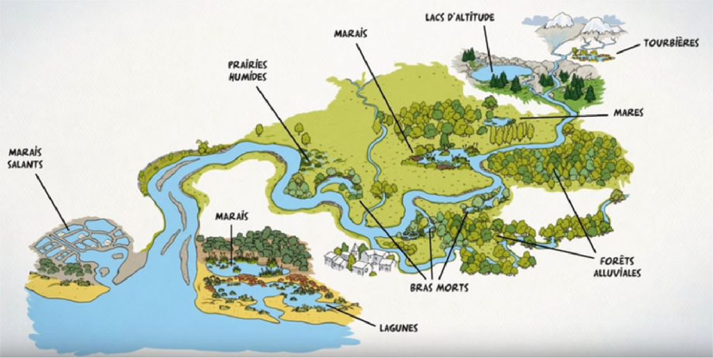 Schéma du circuit de l'eau - Arcins Environnement service